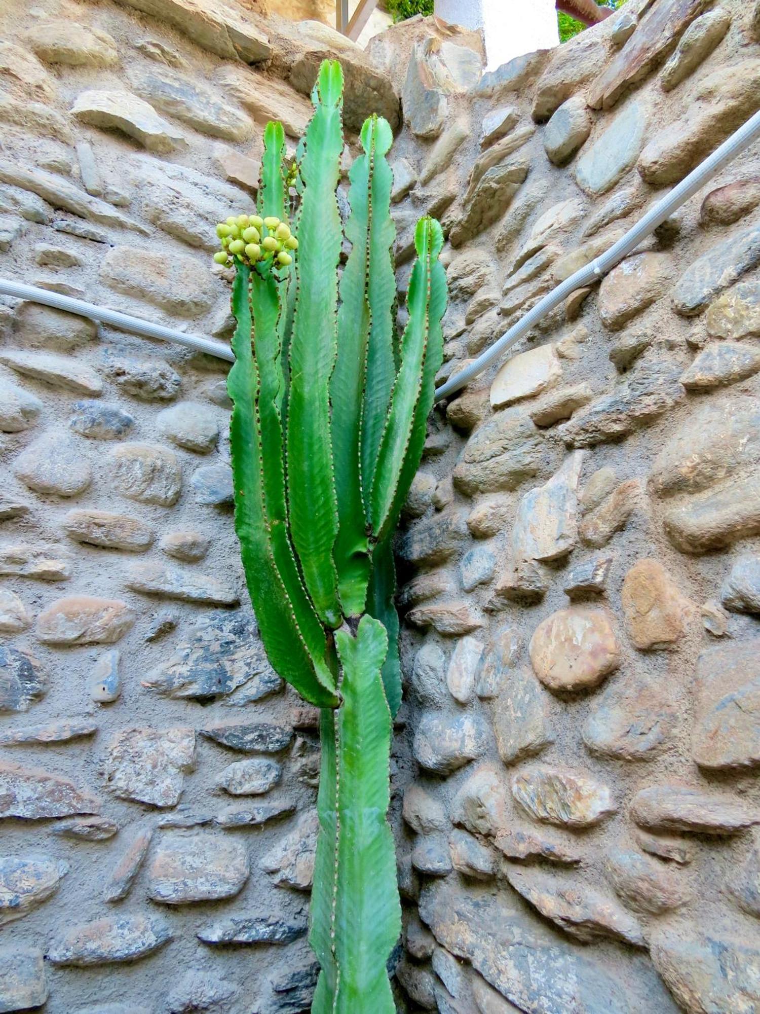 El Encanto Monachil Exterior foto